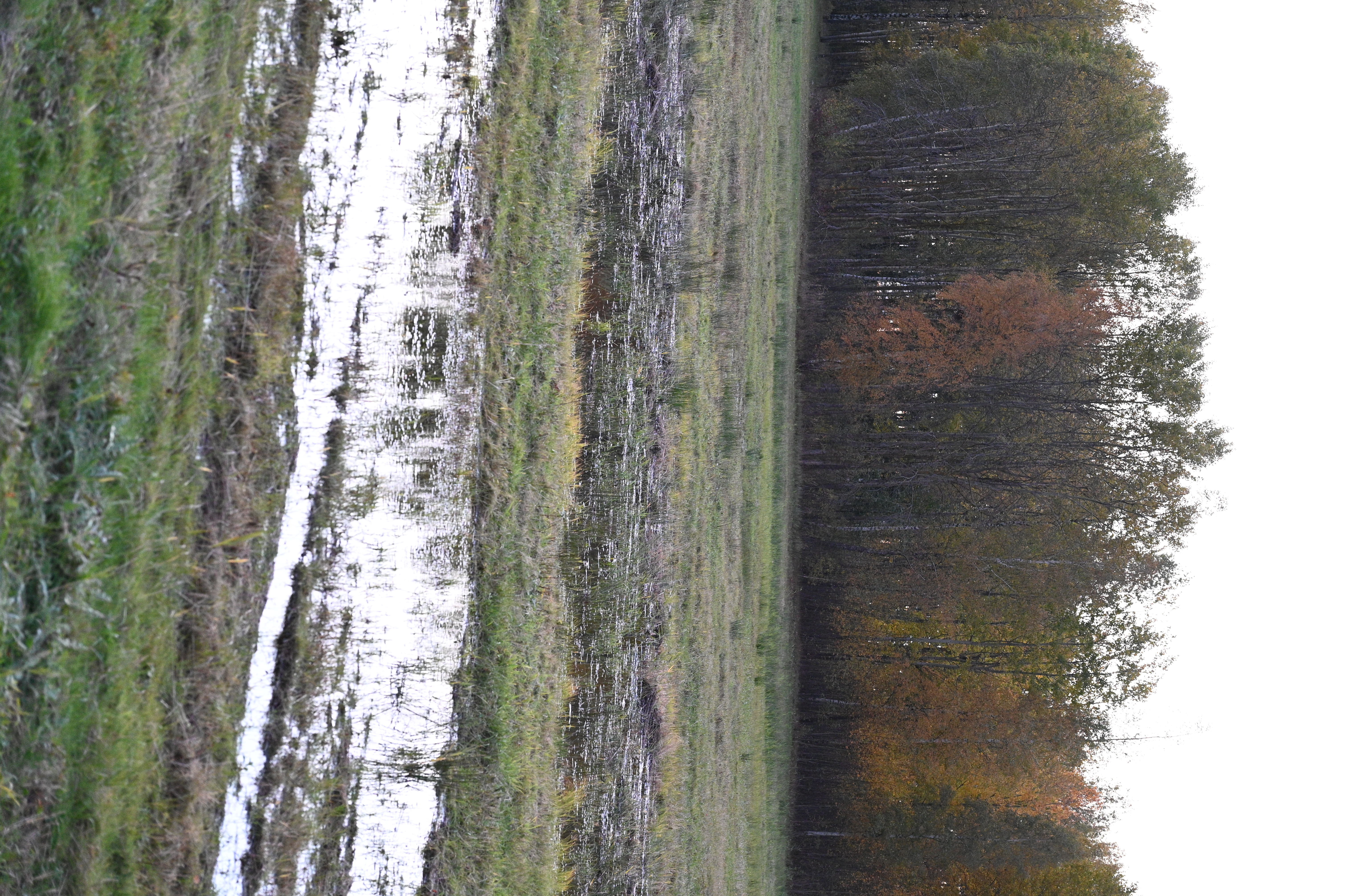 2025/10/18 - walk/DSC_0584.JPG